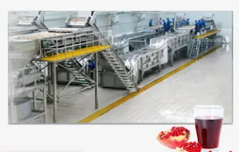 Automatic Pomegranate Juice Production Line