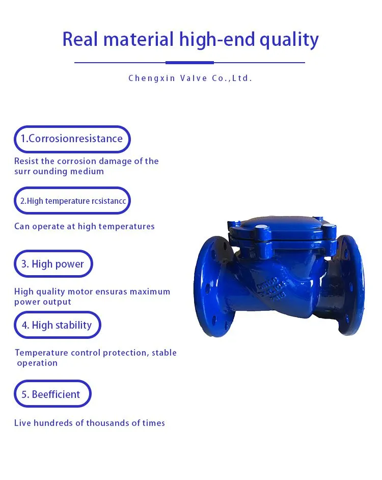 BS Swing Check Valve 1-4.jpg.webp