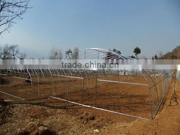 200 micro UV High Tunnel Greenhouse