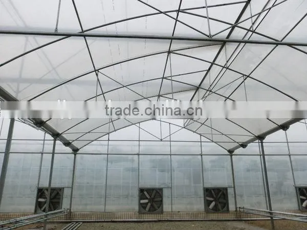 JP Hot Dipped Galvanized Plastic Green house