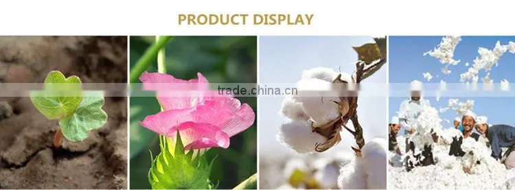 Embroidery elegant pure color High quality terry towel for hotels