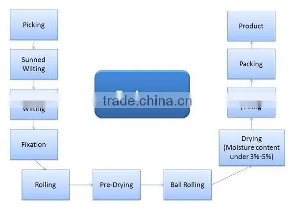 Materials for bubble tea green tea leaves green tea latte green tea supplier