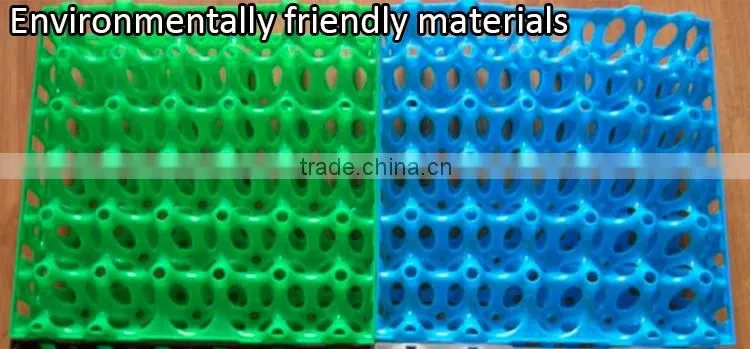alibaba buy now plastic eggs trays