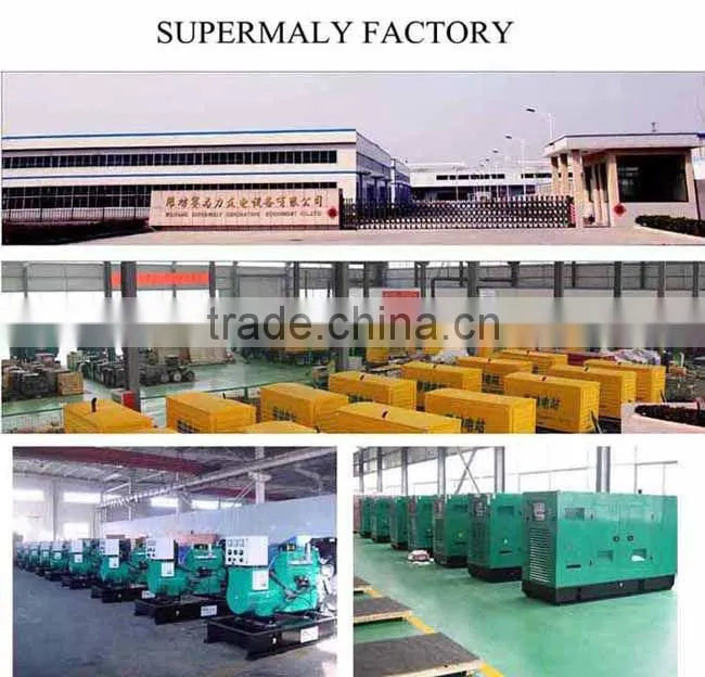 1000kw gas generator
