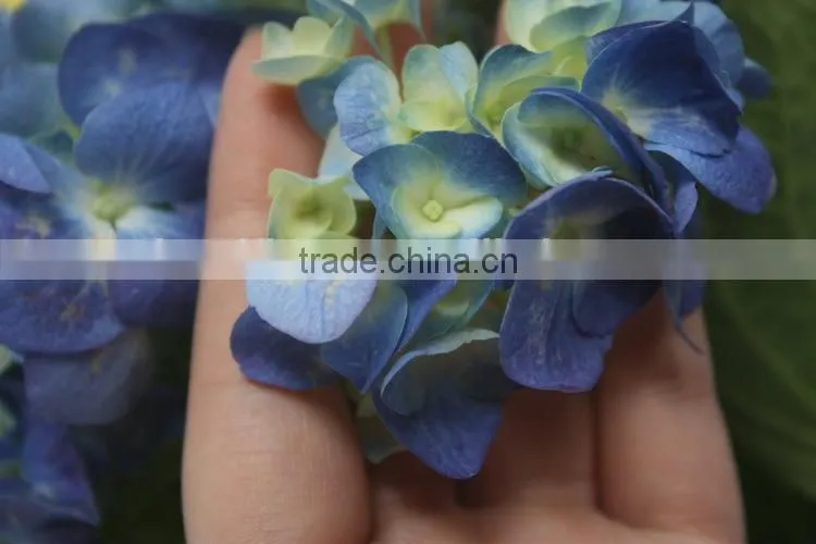 Fragrant aroma classical light blue short branch hydrangea