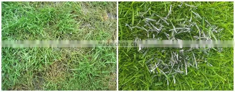 FAQ 15--How To Control Lawn Disease?