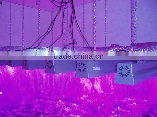 Single 3w chip High efficiency LED grow light