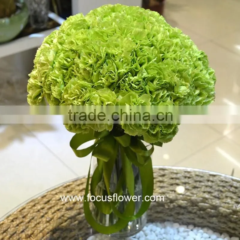 2016 Hot Sale Carnation Cut Flowers Price Without Middleman Green Mini Carnation Flowers