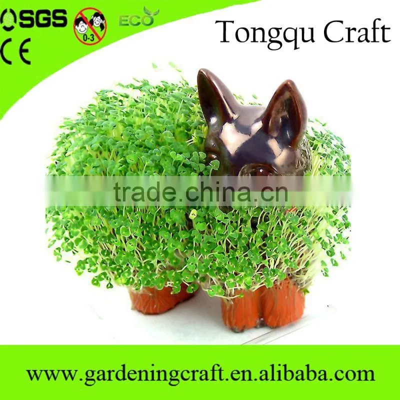 pormo gifts usb chia pet gifts for newly married couple wedding thank you gifts for guests