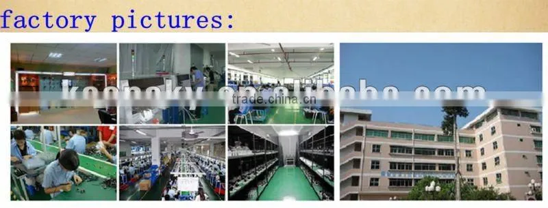 4CH Real Time Standard Alone DVR with H.264