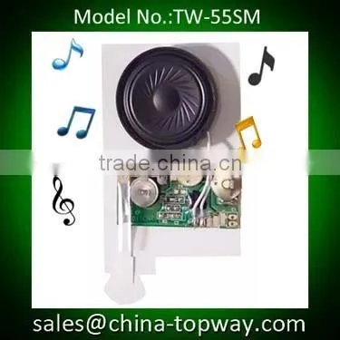 Pull tab activated music card modules