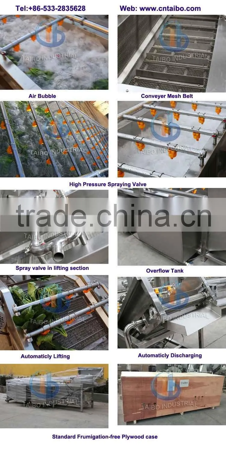 Ozone Fruit and Vegetable Washer /Vegetable Washing Machine