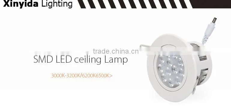 Technical Excellence Low calorie restaurant ceiling light