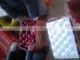 Lixian Richshine Fruits & Vegetables Co., Ltd. company overview - view 2