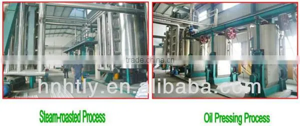 China most advenced technolgoy sesame oil extraction equipment