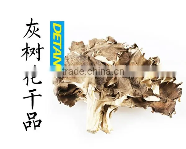 Best selling organic Dried Maitake Mushroom