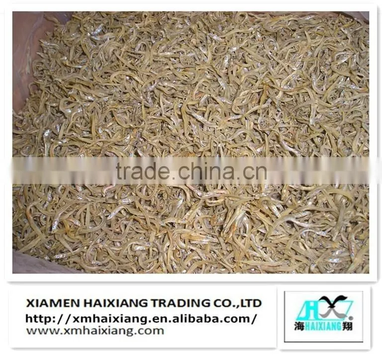 Freshwater eel fish buyer