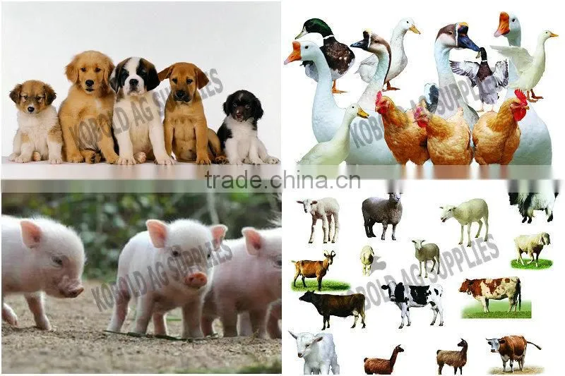 Rabbit drug feeding sprayer ,mecidine sprayer