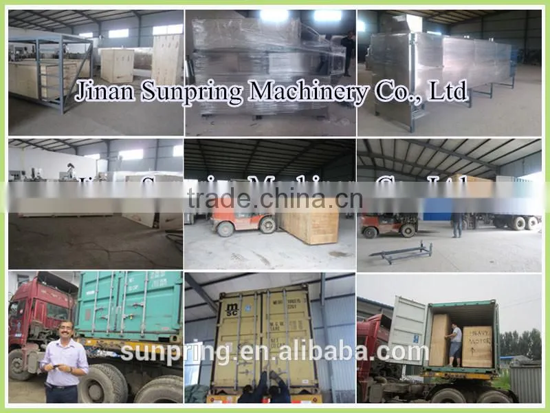 Soybean Protein Nuggets Processing Machine