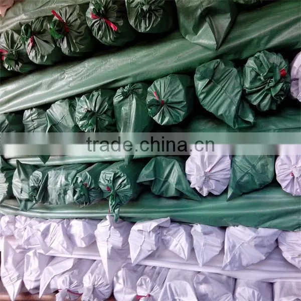 Natural Color Bamboo Cane