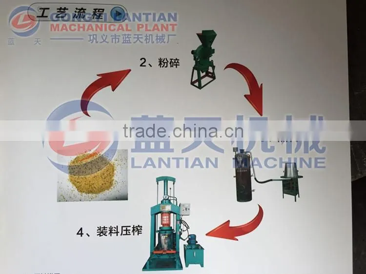 Hydraulic cold pressed avocado oil machine/avocado oil press/avocado oil extraction