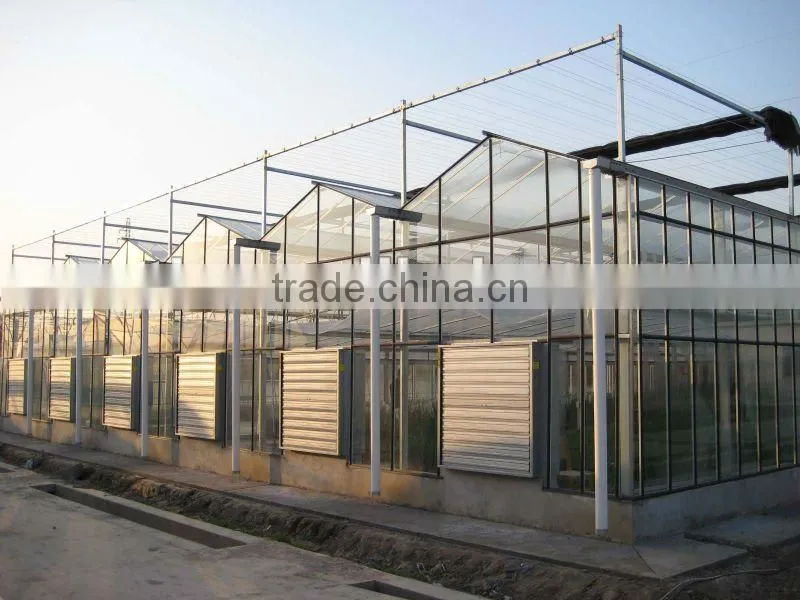 glass for greenhouse