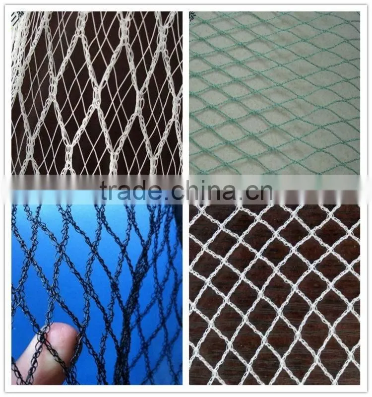HDPE anti-bird net, anti bird protection net for vineyard china factory