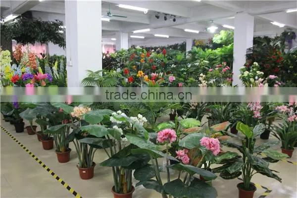 grass turf /plastic grass mat / for hedge / wall