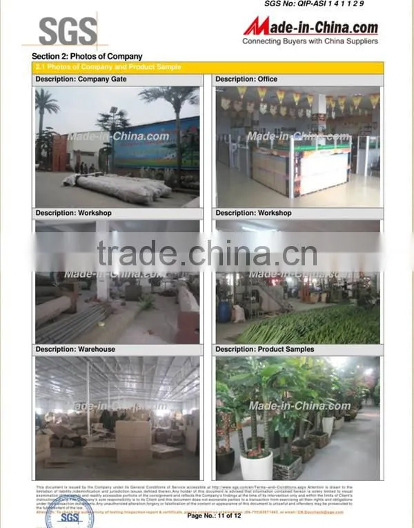 SJLJ013384 artificial plant / fake plastic succulent plant for office / restaurant decoration