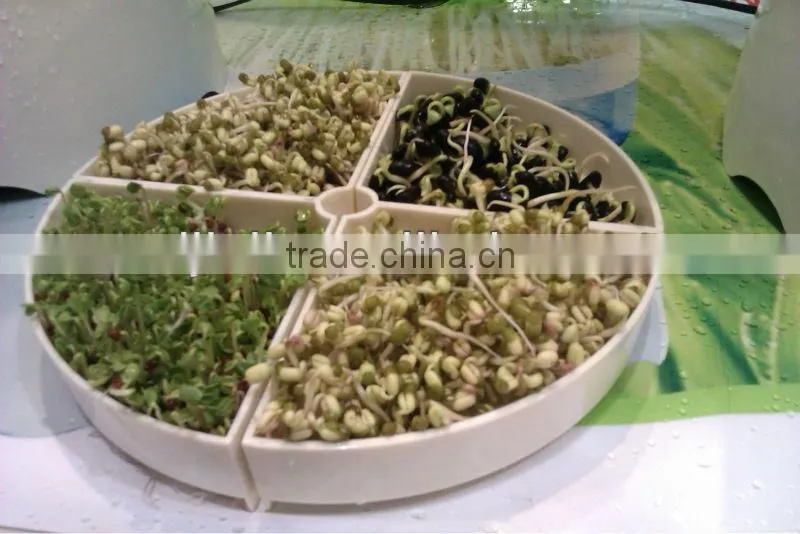 Tray Kitchen Sprouter