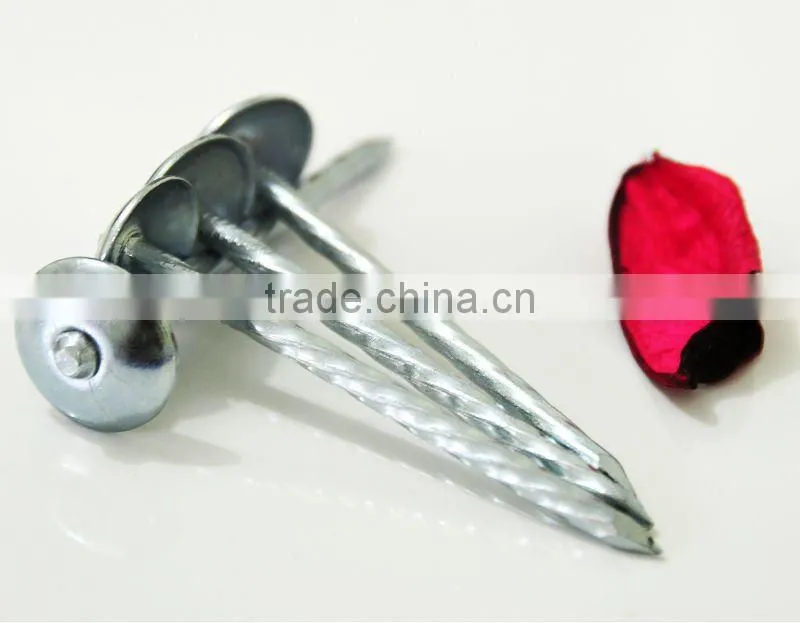 umbrella roofing nails for south africa