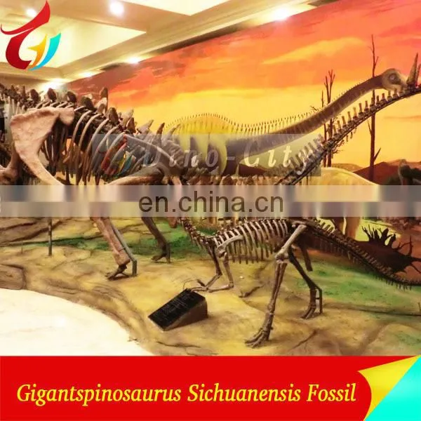 indoor display fiberglass life size dinosaur skeleton