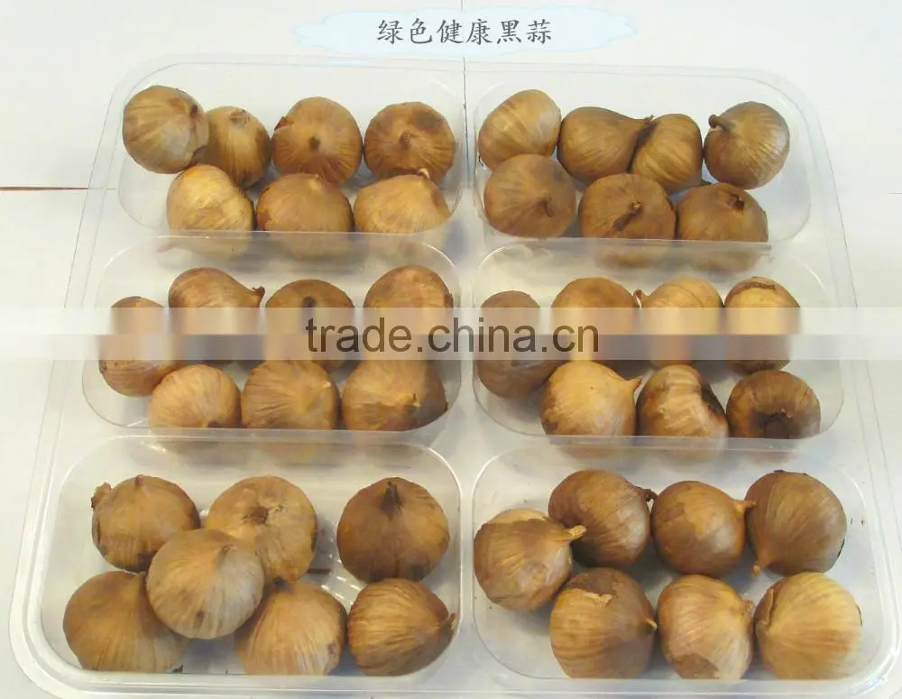 China black garlic for sale