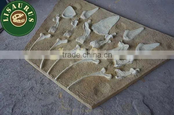 JLDF-0342 Excavation Site Dinosaur Fossil slabs