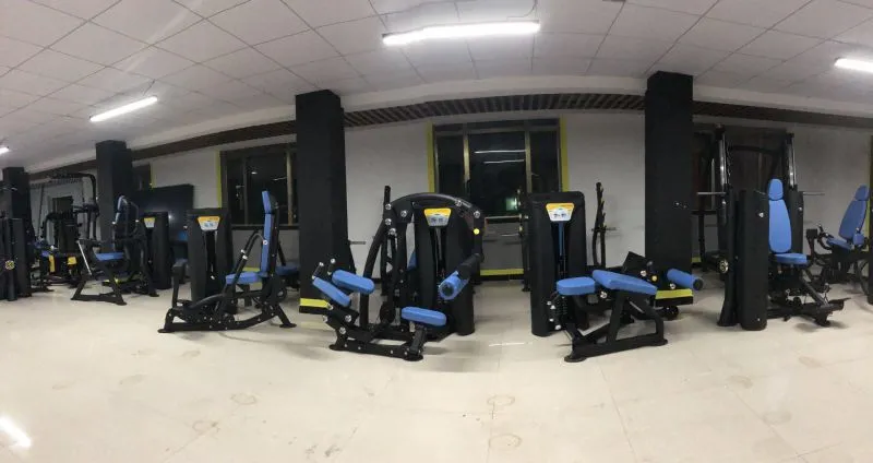 Gym Exercise Equipment Leg Press Fitness Equipment for Sale