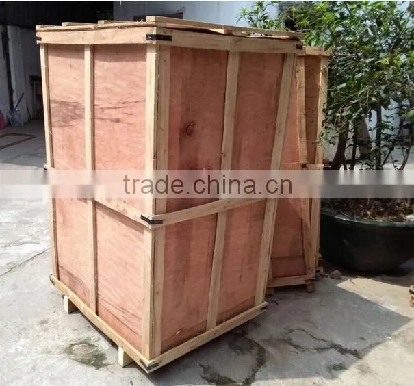 Food safety standard CE Commercial Hard popsicle making machine