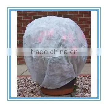 Disposable pure white sheets