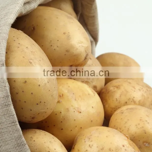 fresh yellow potato from new crop ( china origin)