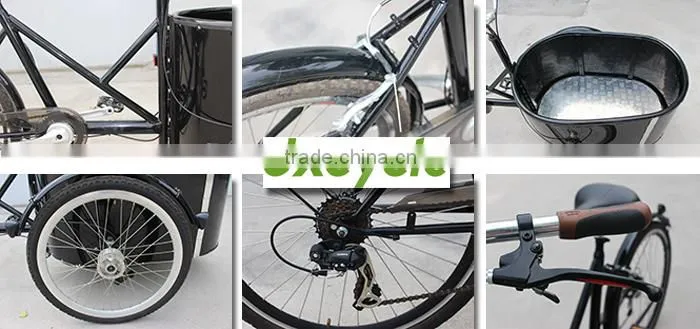 van cargo bike tricycle for sale