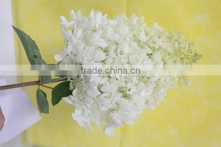 Elegant in smell hot-sale hydrangea flower for sale