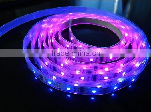 100% waterproof SMD led strip light 12V 24V
