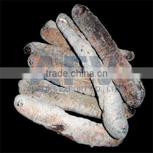 Dry Sea Cucumber Vietnam, Lolly Fish, Holothuria Atra