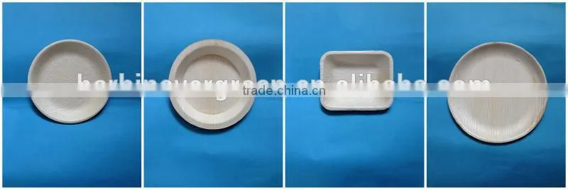 10'' palm leaf square plate