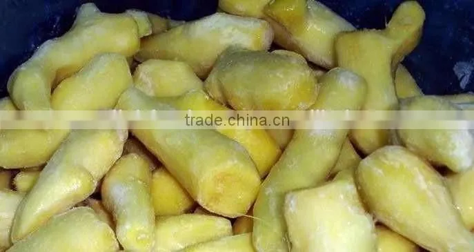 BEST PRICE VIETNAM FRESH GINGER