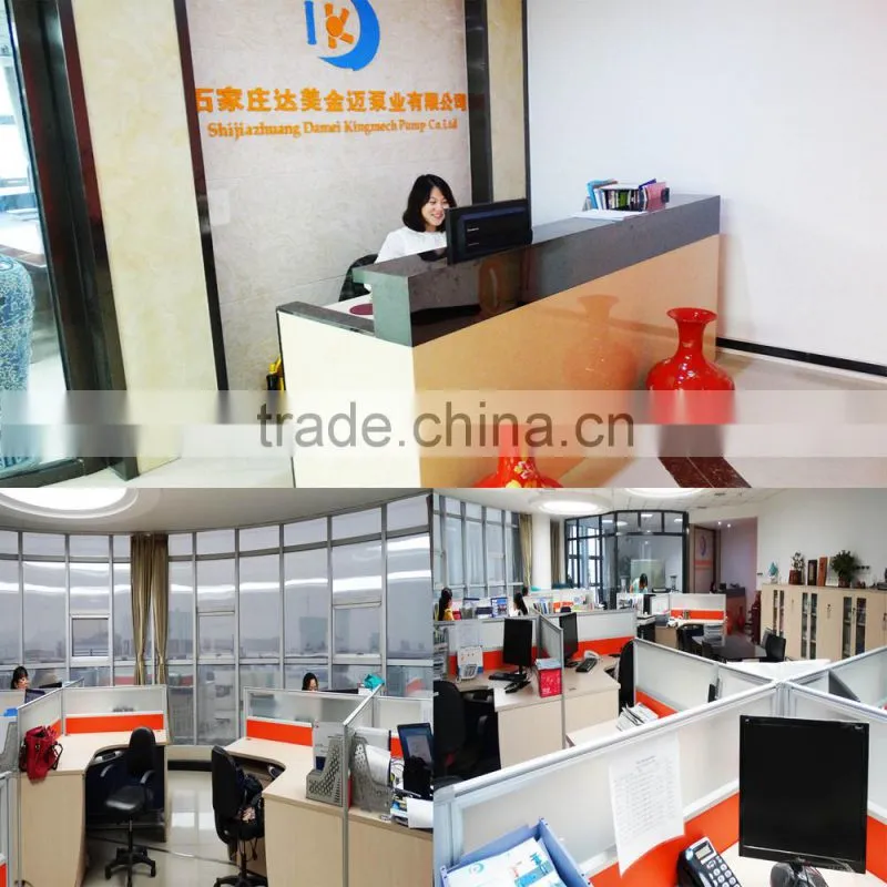 Vertical type VSD series China supplier VSDR High quality sump pumps