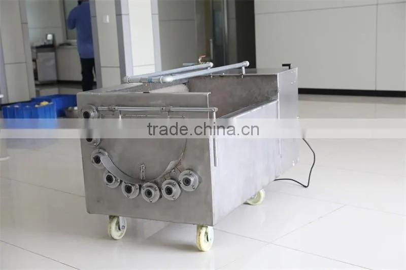 Top Selling Fruit Vegetable Washer With High Quality