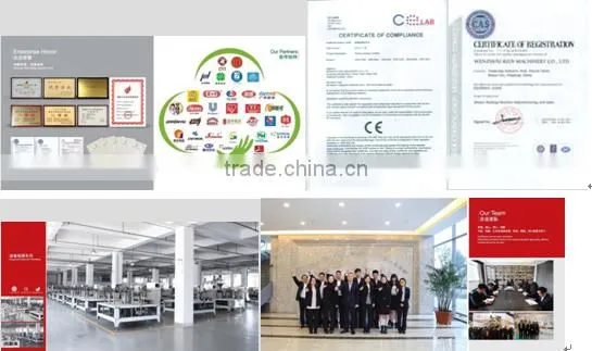 Solid Snacks Premade Rotary Automatic Packaging Machine