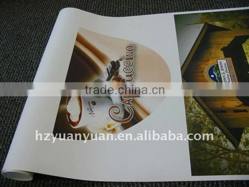 Inkjet Media, Self Adhesive Vinyl, Matt Vinyl Film, Printing Materials