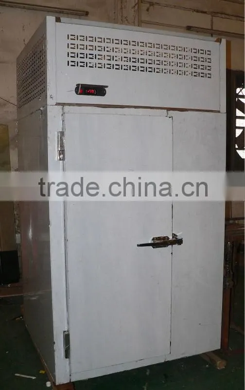 Stainless steel food blast freezer with 2-trolley