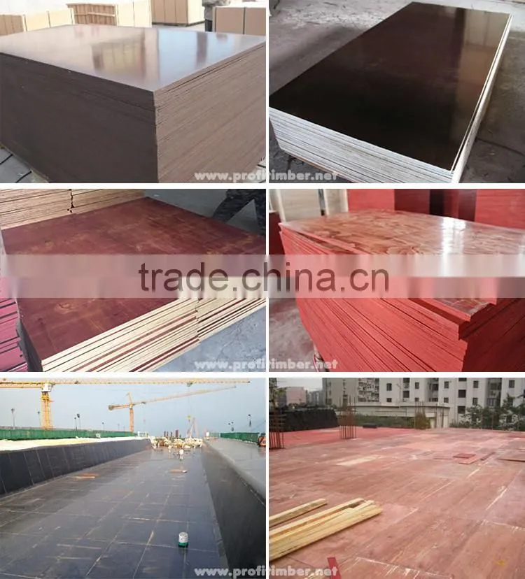 Profitimber Plain Timber Oversized 5'x10' Plywood Sheets